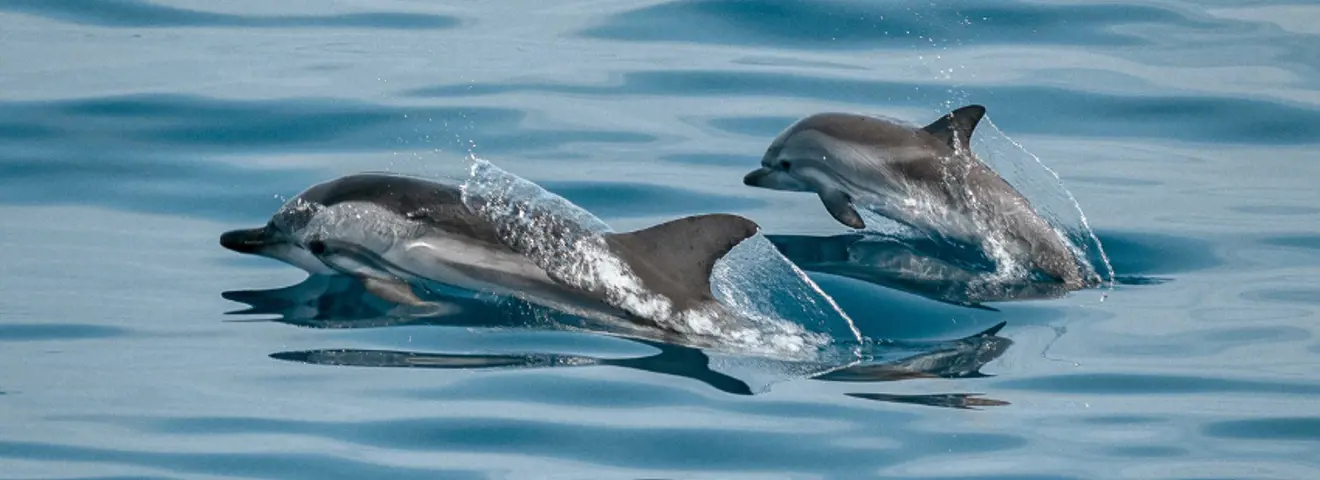 17 bucketlist activiteiten in Europa